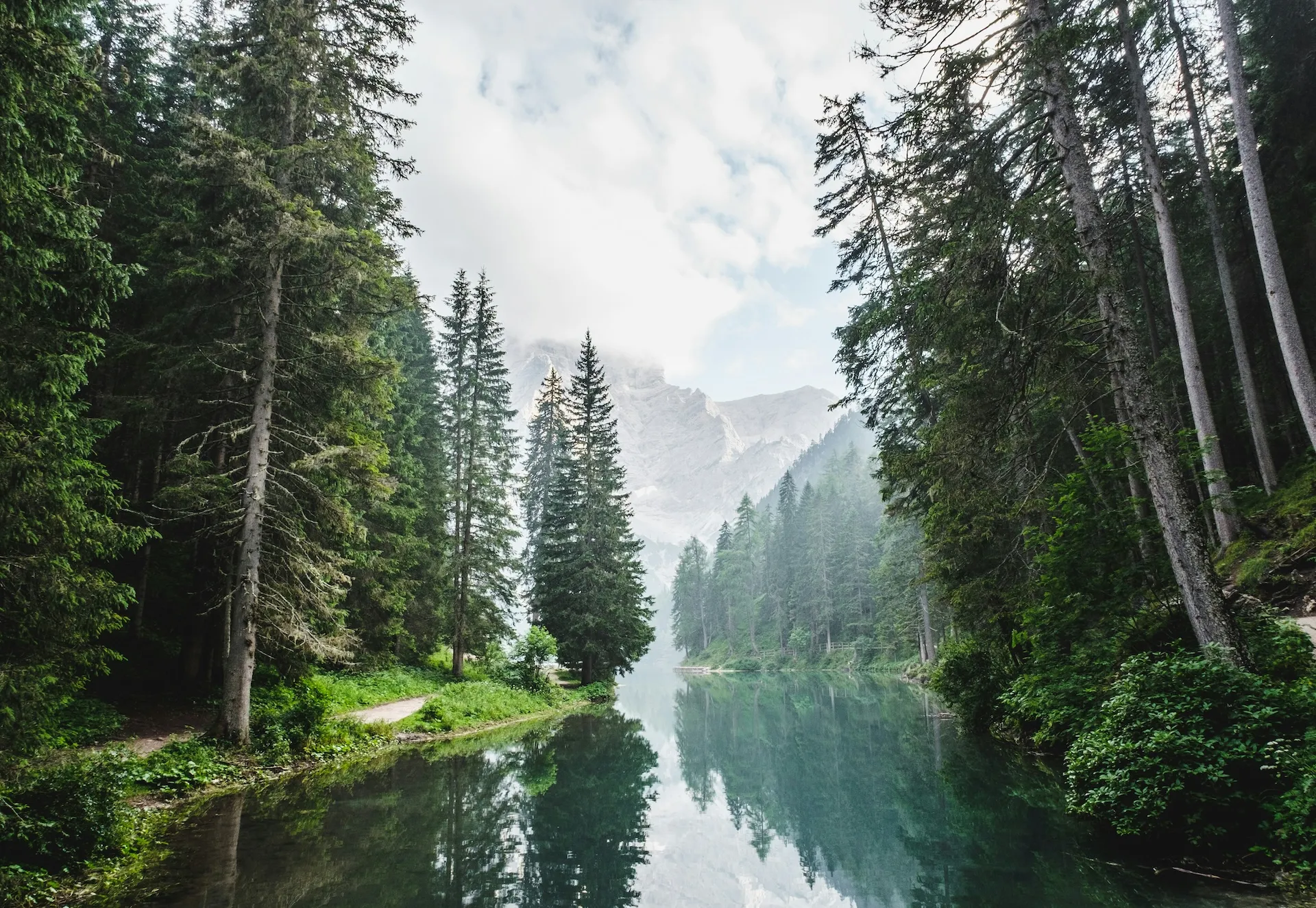 Meditazione sulla gratitudine